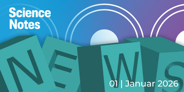 Header der MAINS NEWS Januar 2026.